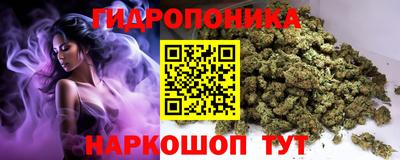 крисы Канаш