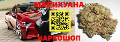 крисы Канаш