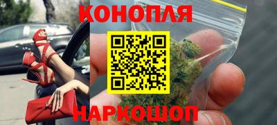крисы Канаш